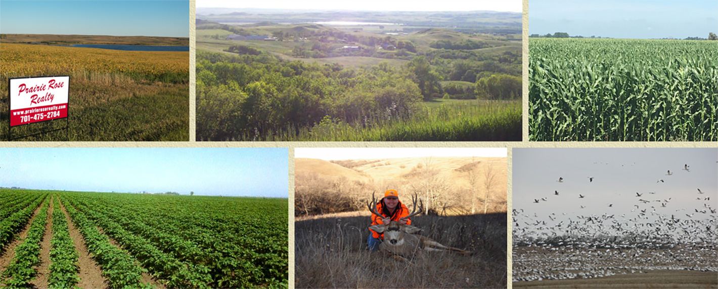 North Dakota Farms Land And Ranches For Sale