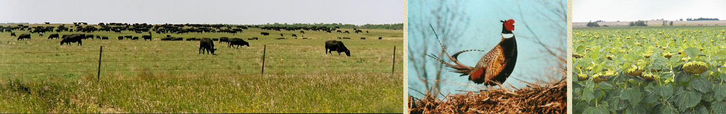 North Dakota Farms Land And Ranches For Sale