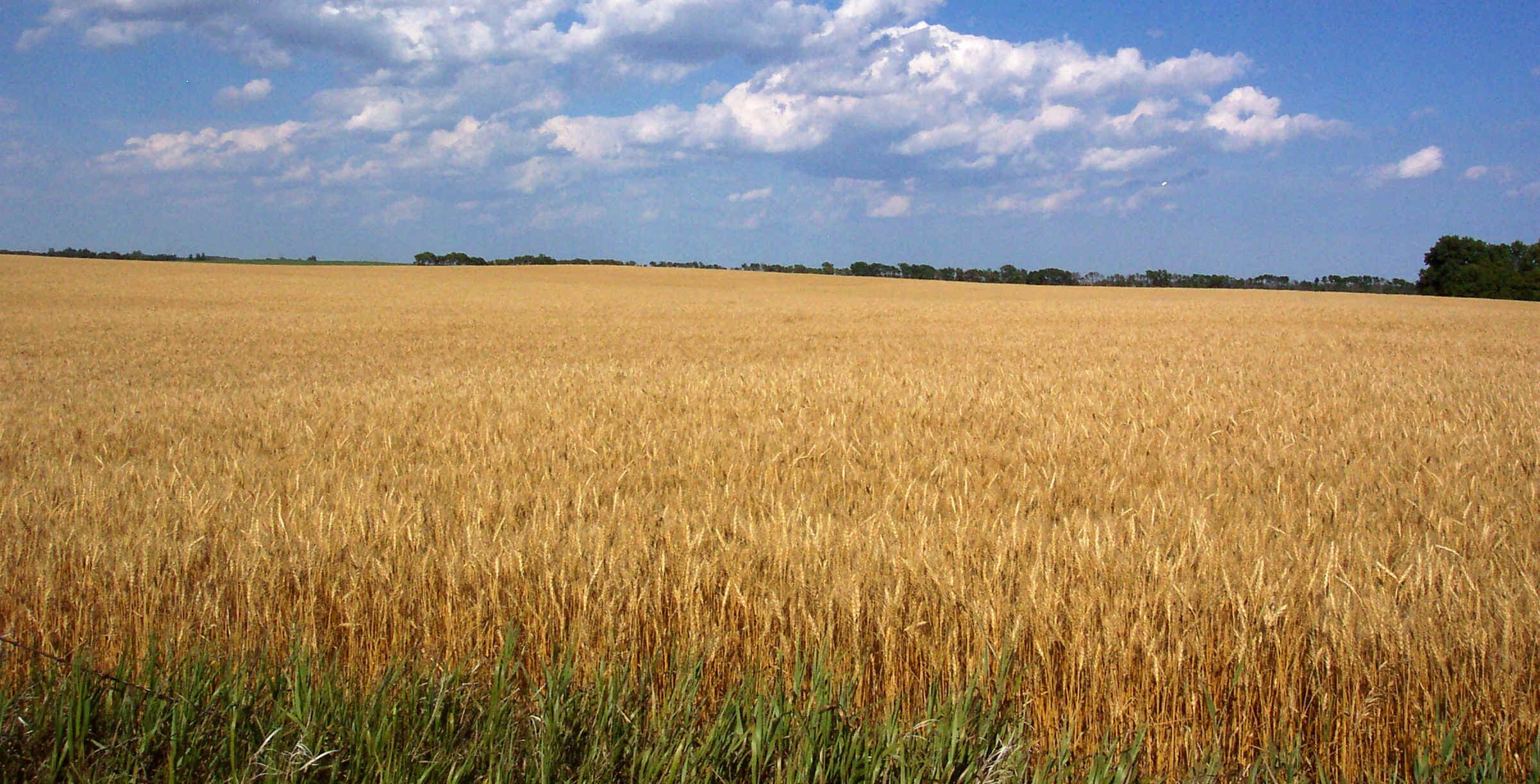 North Dakota Farms, Land and Ranches For Sale